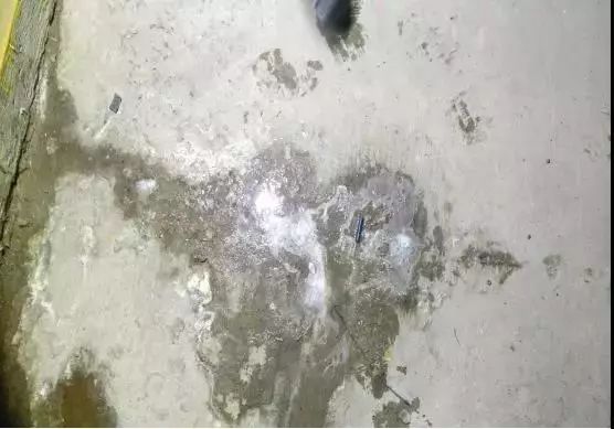 首页|bifa必发集团中国官方网站