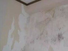 首页|bifa必发集团中国官方网站