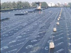 首页|bifa必发集团中国官方网站