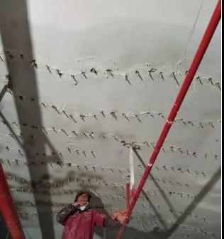 首页|bifa必发集团中国官方网站