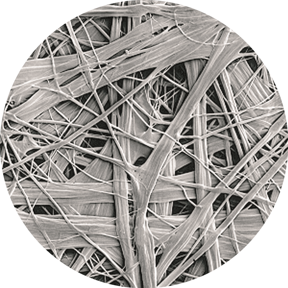 首页|bifa必发集团中国官方网站