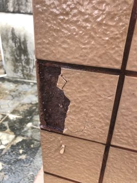 首页|bifa必发集团中国官方网站