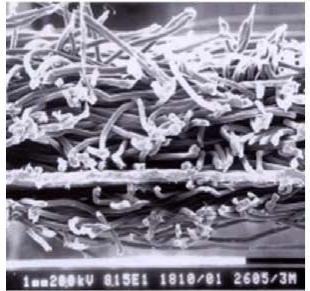 首页|bifa必发集团中国官方网站