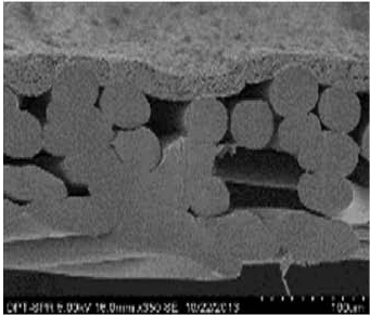 首页|bifa必发集团中国官方网站