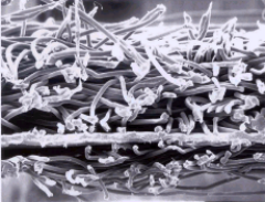 首页|bifa必发集团中国官方网站