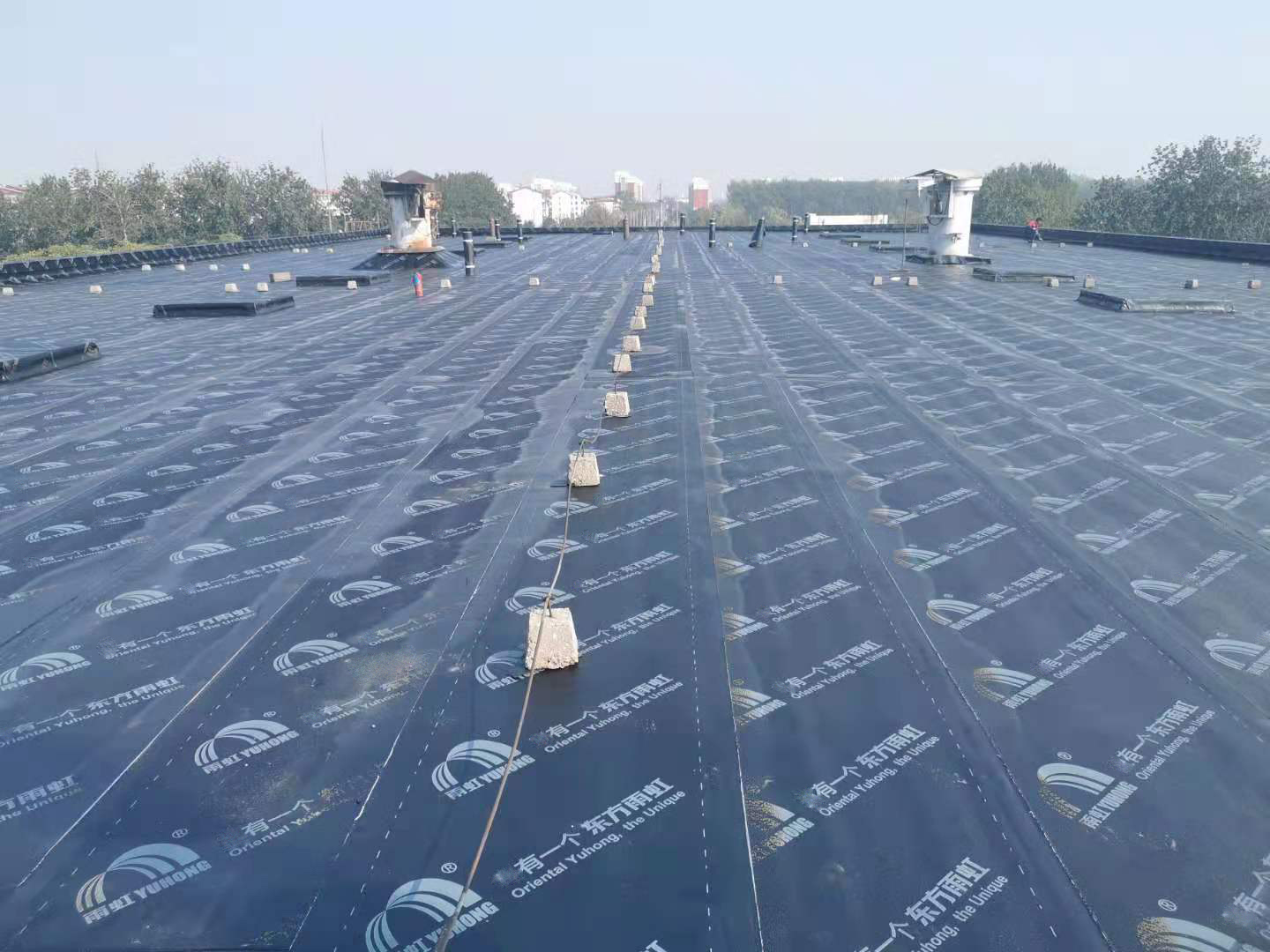 首页|bifa必发集团中国官方网站