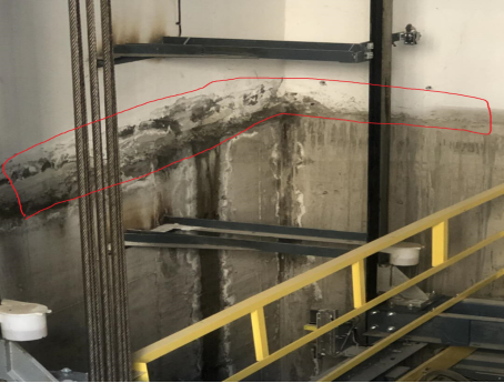 首页|bifa必发集团中国官方网站