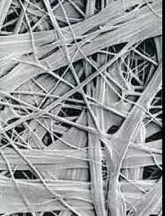 首页|bifa必发集团中国官方网站