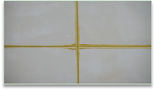 首页|bifa必发集团中国官方网站