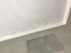 首页|bifa必发集团中国官方网站