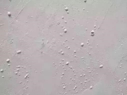 首页|bifa必发集团中国官方网站