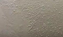 首页|bifa必发集团中国官方网站