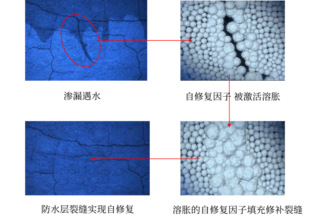首页|bifa必发集团中国官方网站