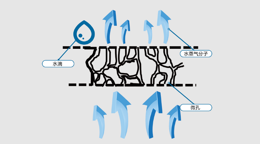 首页|bifa必发集团中国官方网站